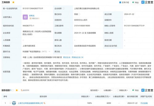 萬達在上海成立數(shù)字科技公司 布局互聯(lián)網(wǎng)銷售與基礎軟件服務